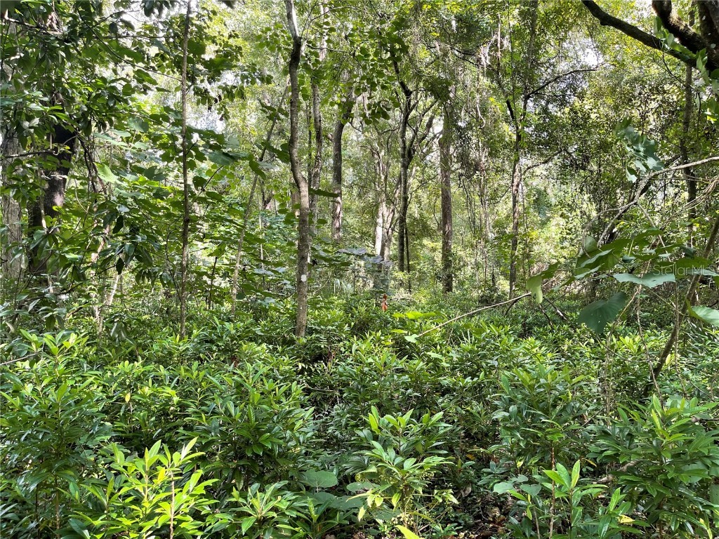 0 NW 97th Street Gainesville FL 32606 GC524913 image1