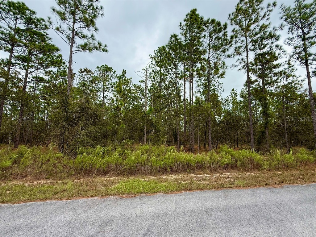0 NW Alvarez Road Dunnellon FL 34431 OM711057 image1