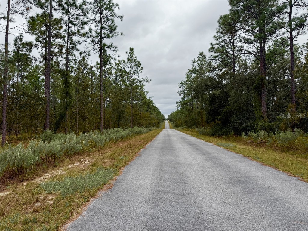 0 NW Alvarez Road Dunnellon FL 34431 OM711057 image10