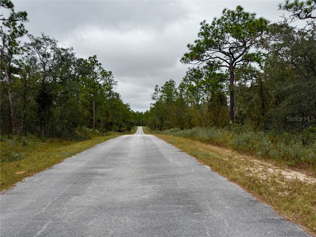 0 NW Alvarez Road Dunnellon FL 34431 OM711057 image11