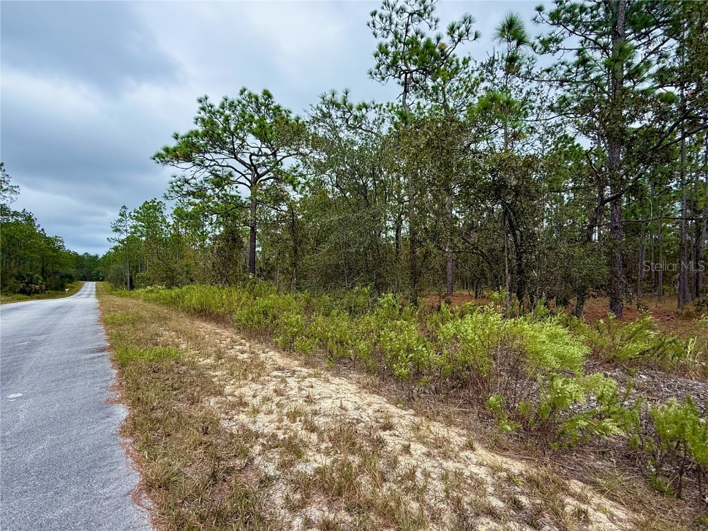 0 NW Alvarez Road Dunnellon FL 34431 OM711057 image14