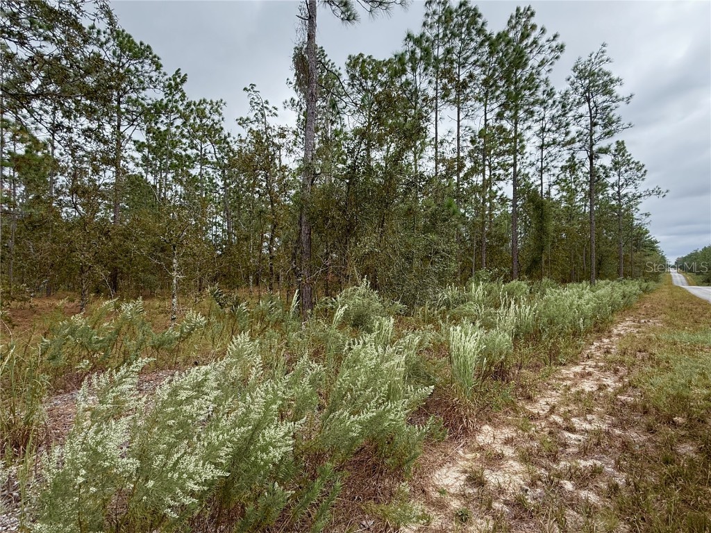 0 NW Alvarez Road Dunnellon FL 34431 OM711057 image15