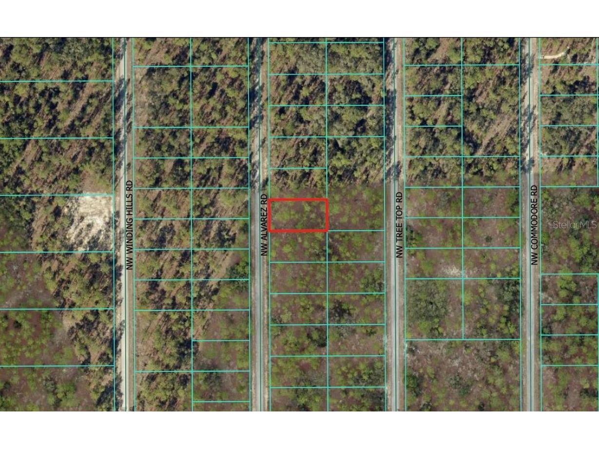 0 NW Alvarez Road Dunnellon FL 34431 OM711057 image2