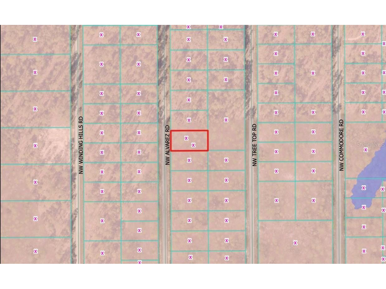 0 NW Alvarez Road Dunnellon FL 34431 OM711057 image3