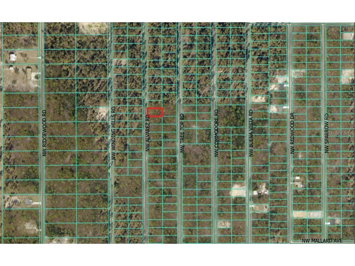 0 NW Alvarez Road Dunnellon FL 34431 OM711057 image4