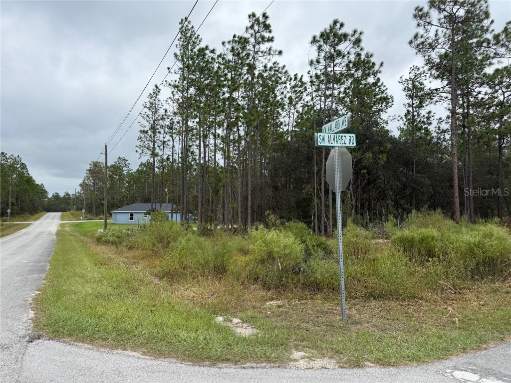 0 NW Alvarez Road Dunnellon FL 34431 OM711057 image7
