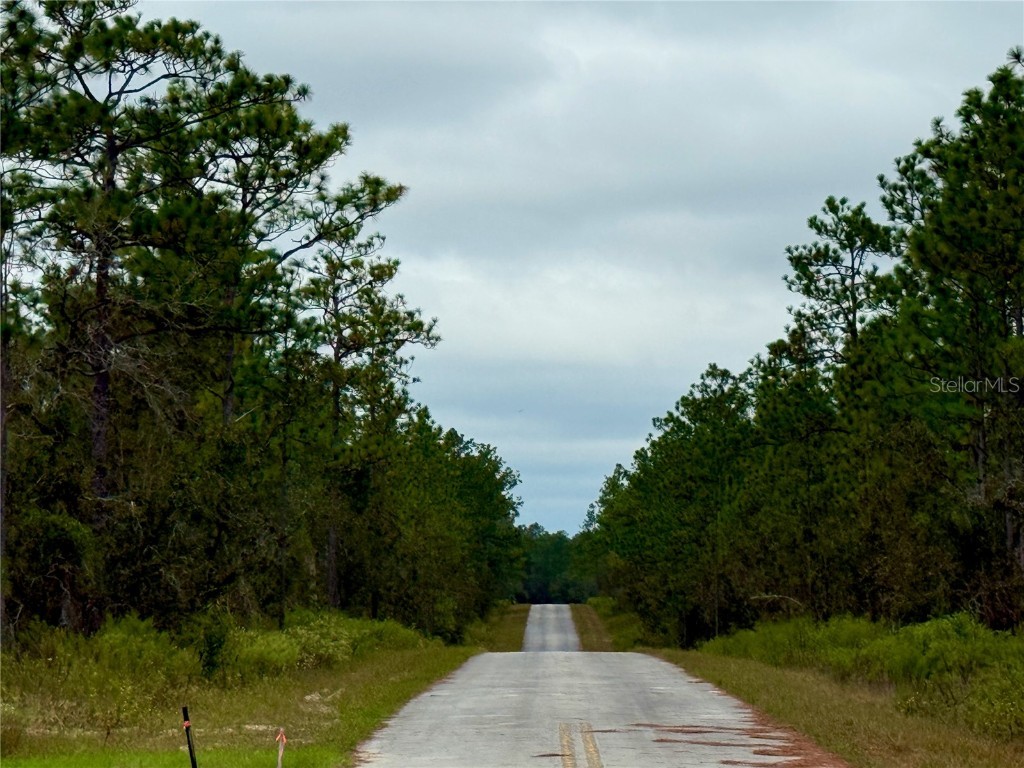 0 NW Alvarez Road Dunnellon FL 34431 OM711057 image8