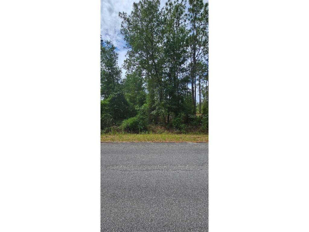 0 NW Aspen Lane Dunnellon FL 34431 OM701247 image1
