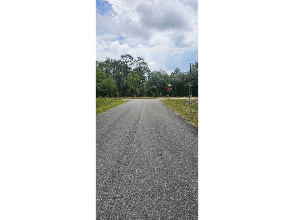 0 NW Aspen Lane Dunnellon FL 34431 OM701247 image5