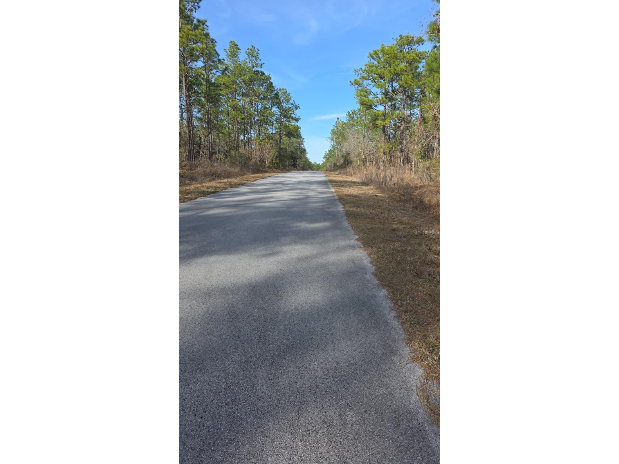 0 NW Alvarez Rd N Nw Alvarez Rd Highway Dunnellon FL 34431 S5151528 image2