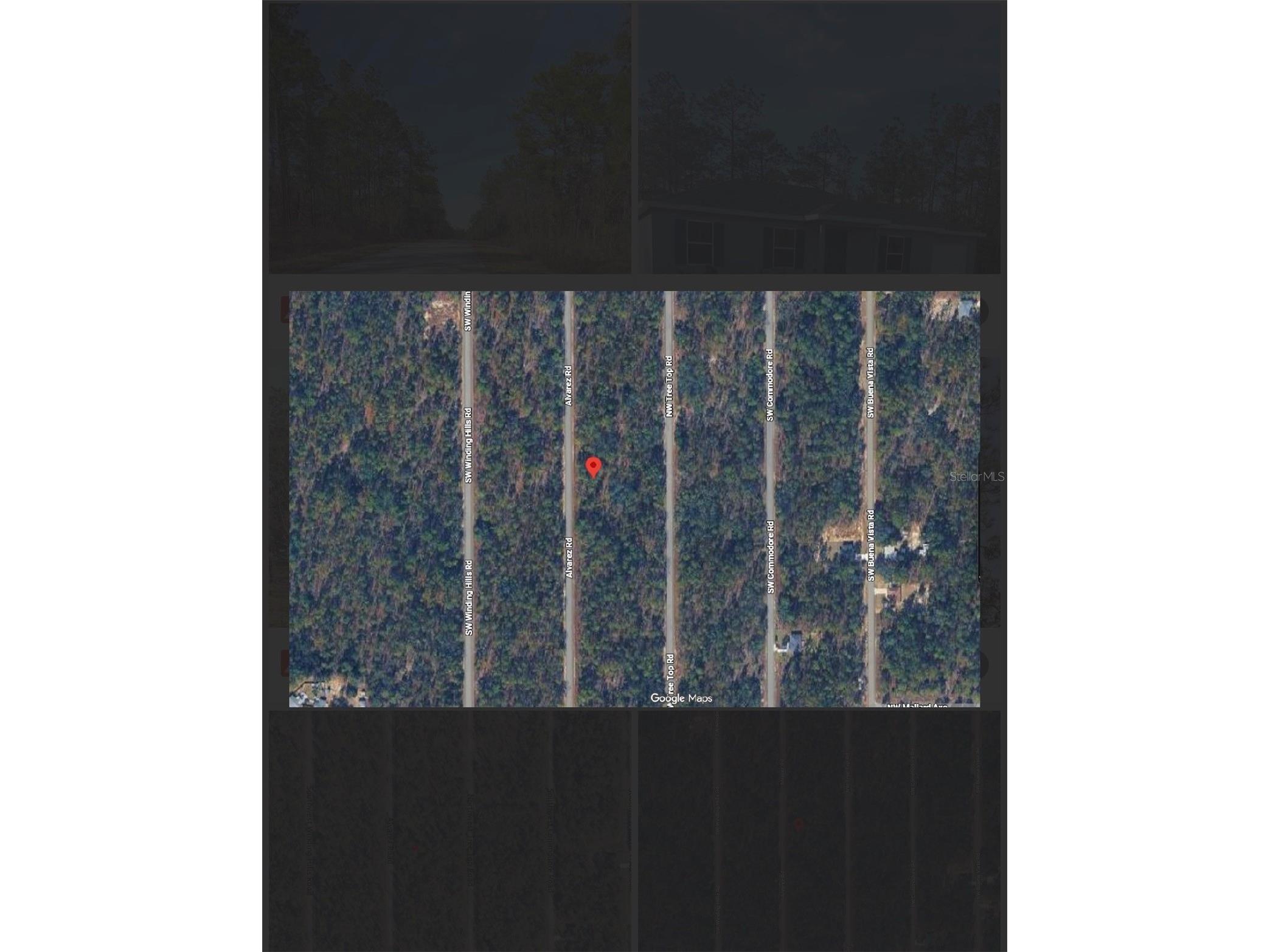 0 NW Alvarez Rd N Nw Alvarez Rd Highway Dunnellon FL 34431 S5151528 image4