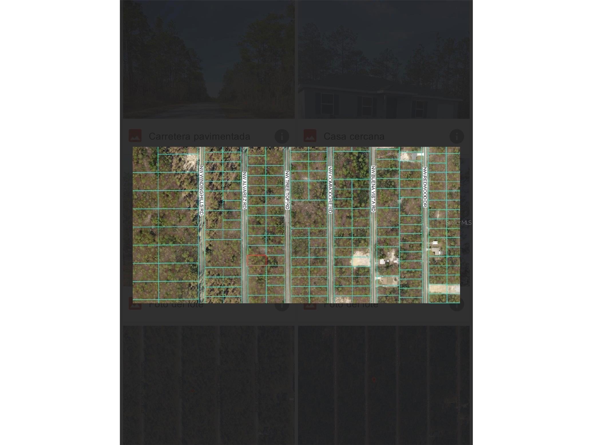 0 NW Alvarez Rd N Nw Alvarez Rd Highway Dunnellon FL 34431 S5151528 image6