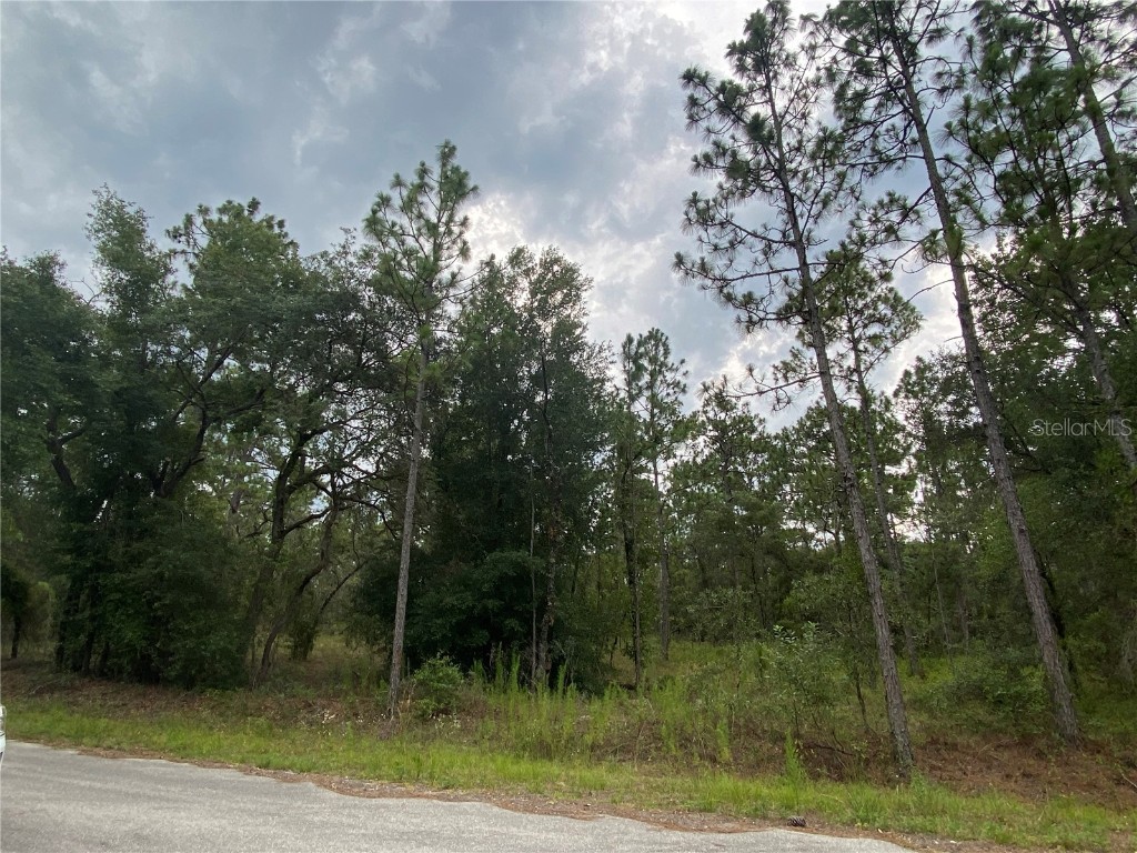 0 NW Banyan Lane Dunnellon FL 34431 OM641381 image1