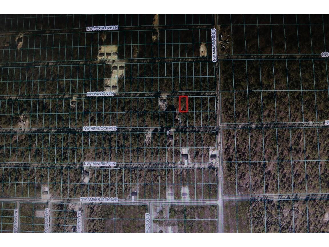 0 NW Banyon Lane Dunnellon FL 34431 OM706359 image2