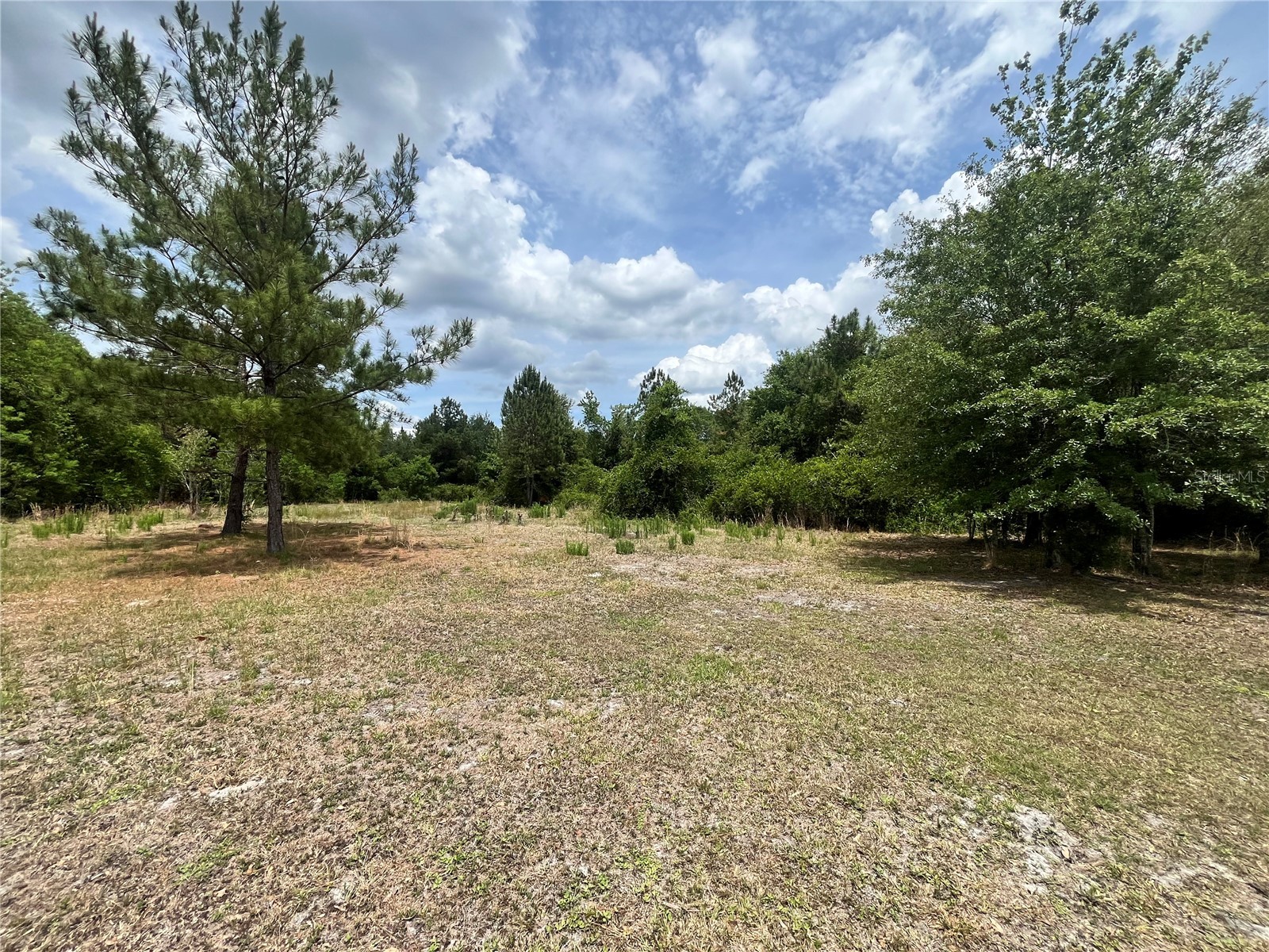 0 NW County Road 229 Starke FL 32091 GC540650 image1