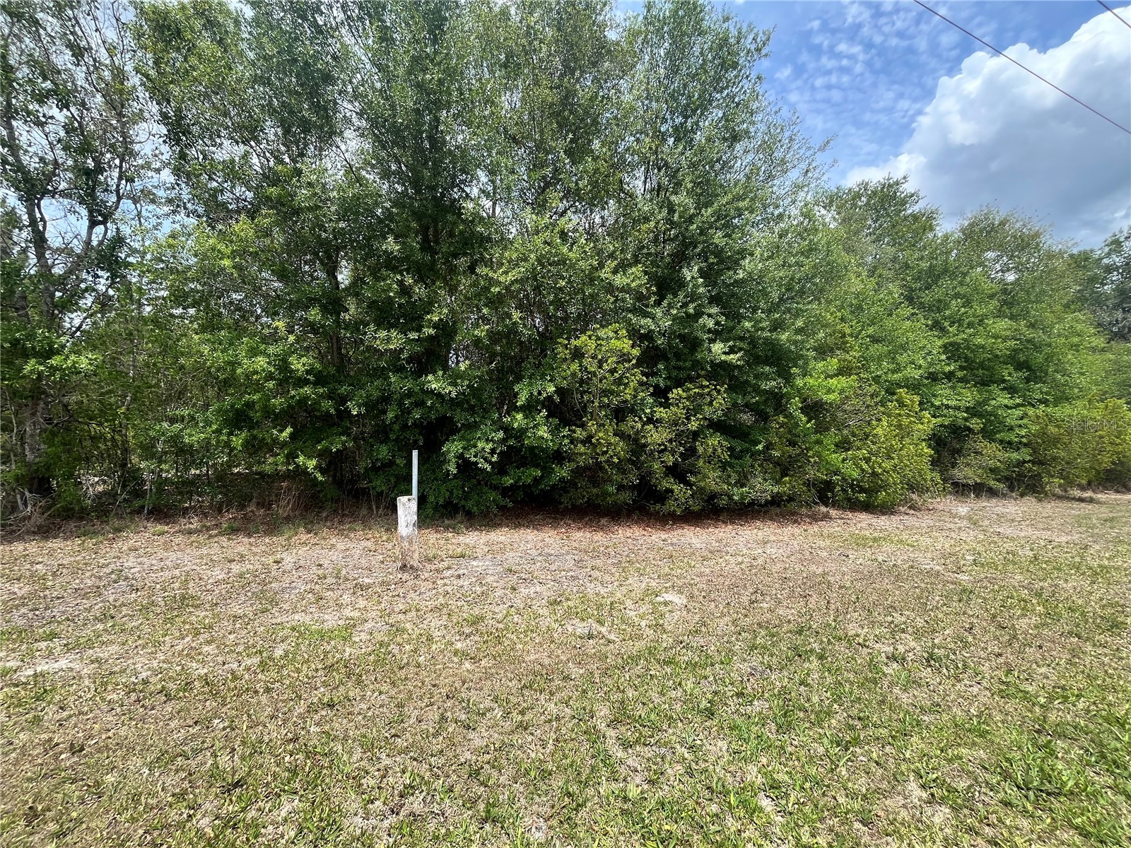 0 NW County Road 229 Starke FL 32091 GC540650 image10