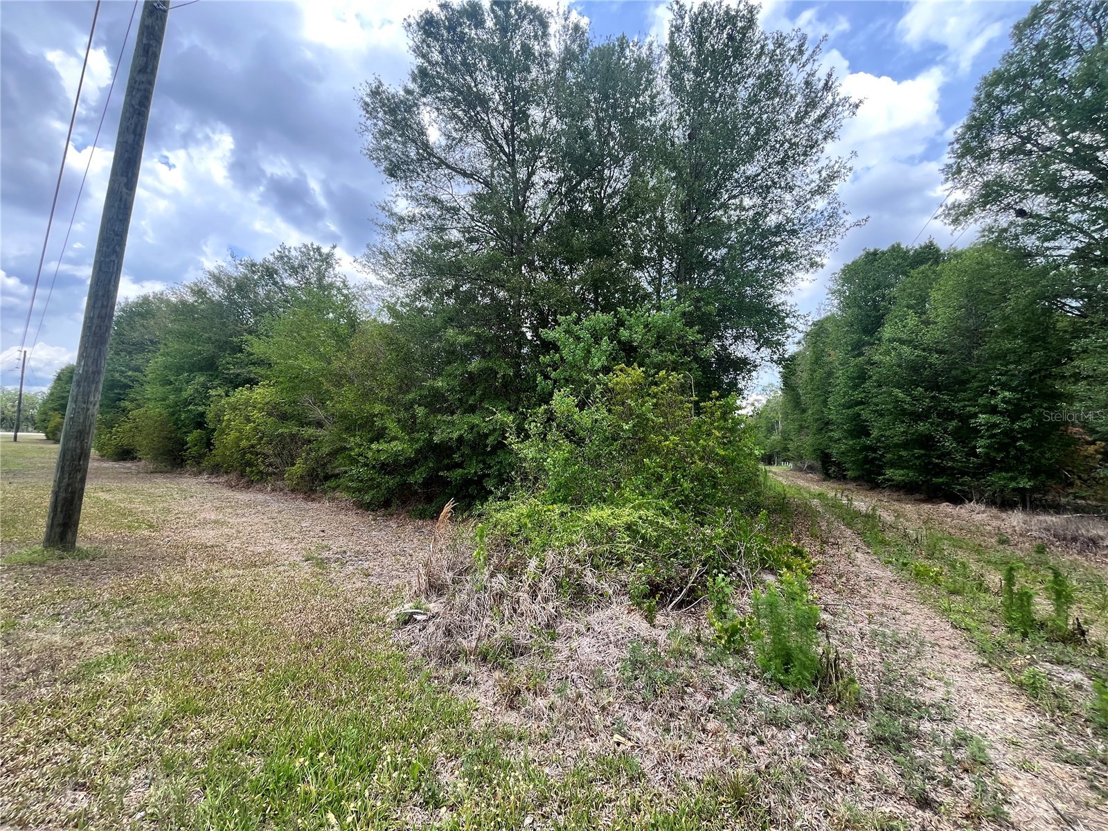 0 NW County Road 229 Starke FL 32091 GC540650 image11