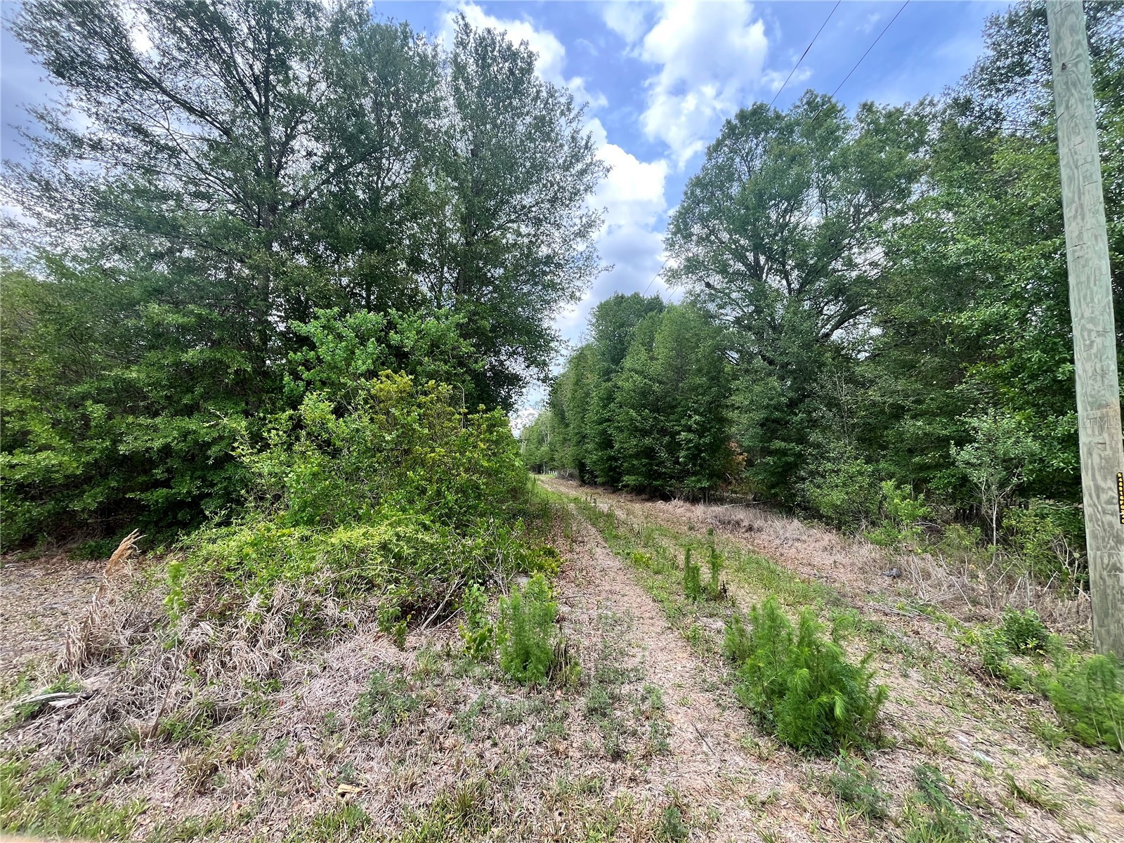 0 NW County Road 229 Starke FL 32091 GC540650 image12