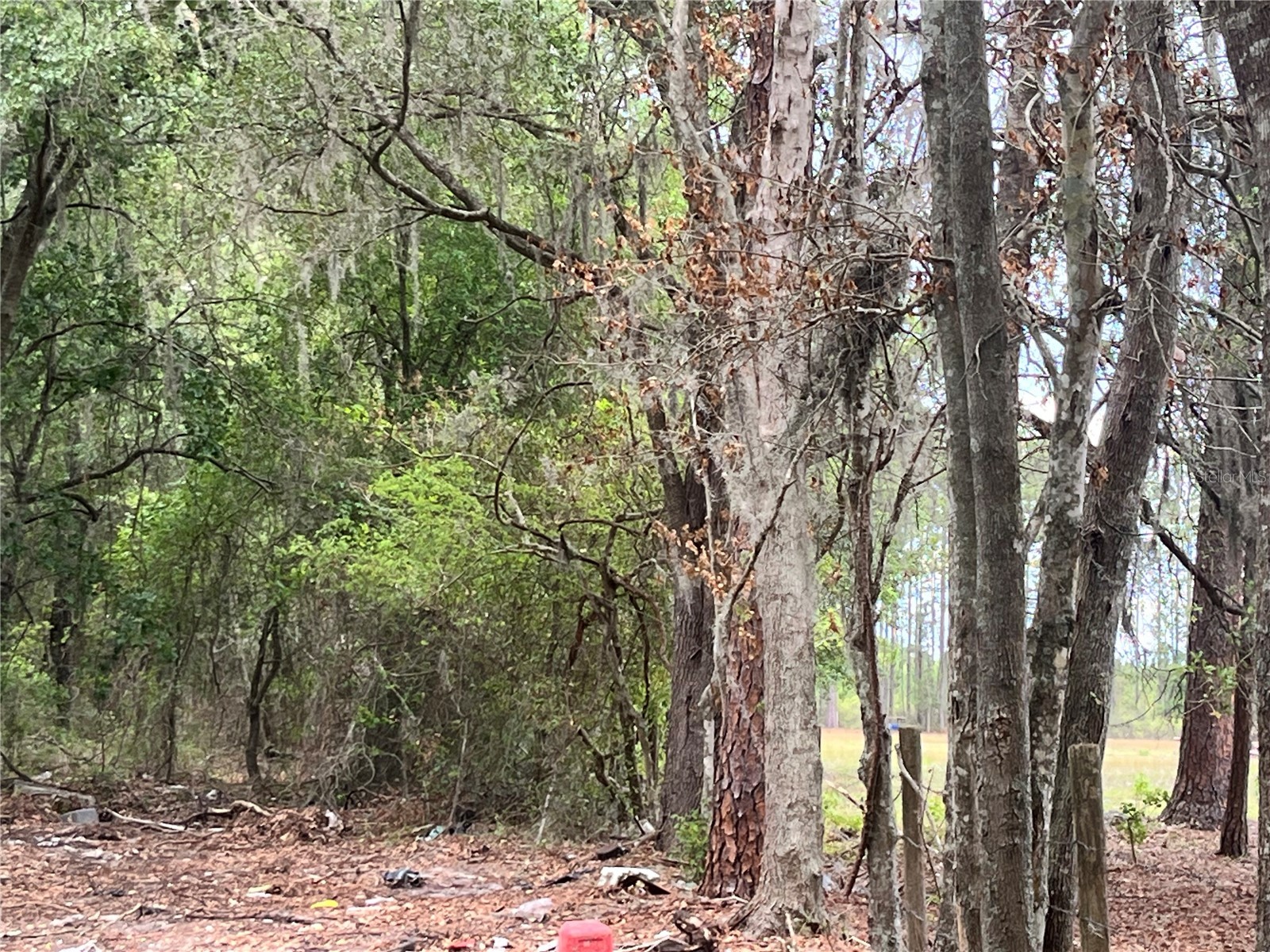 0 NW County Road 229 Starke FL 32091 GC540650 image15