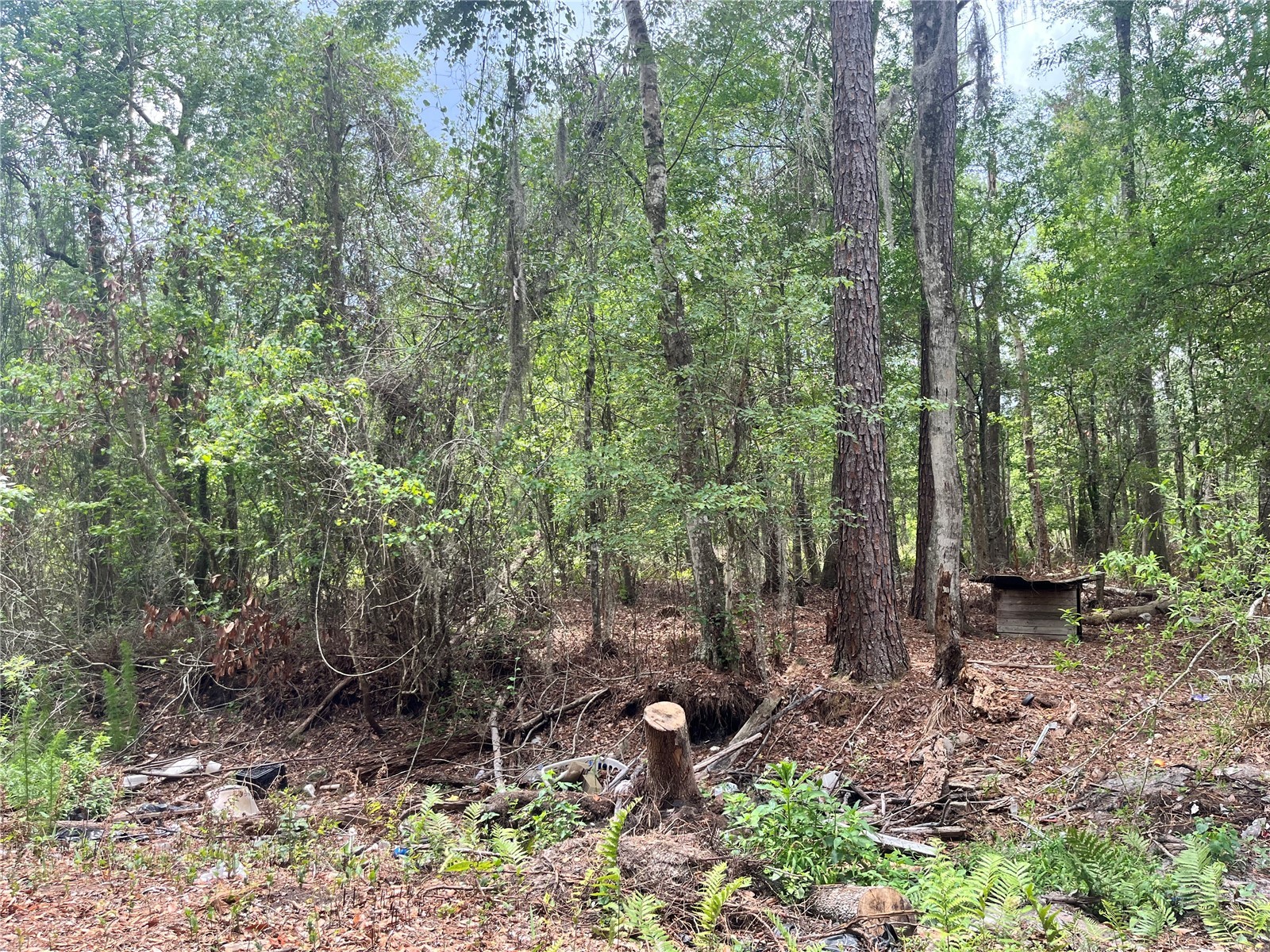 0 NW County Road 229 Starke FL 32091 GC540650 image16