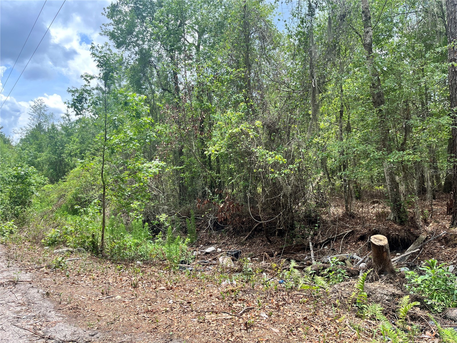 0 NW County Road 229 Starke FL 32091 GC540650 image17