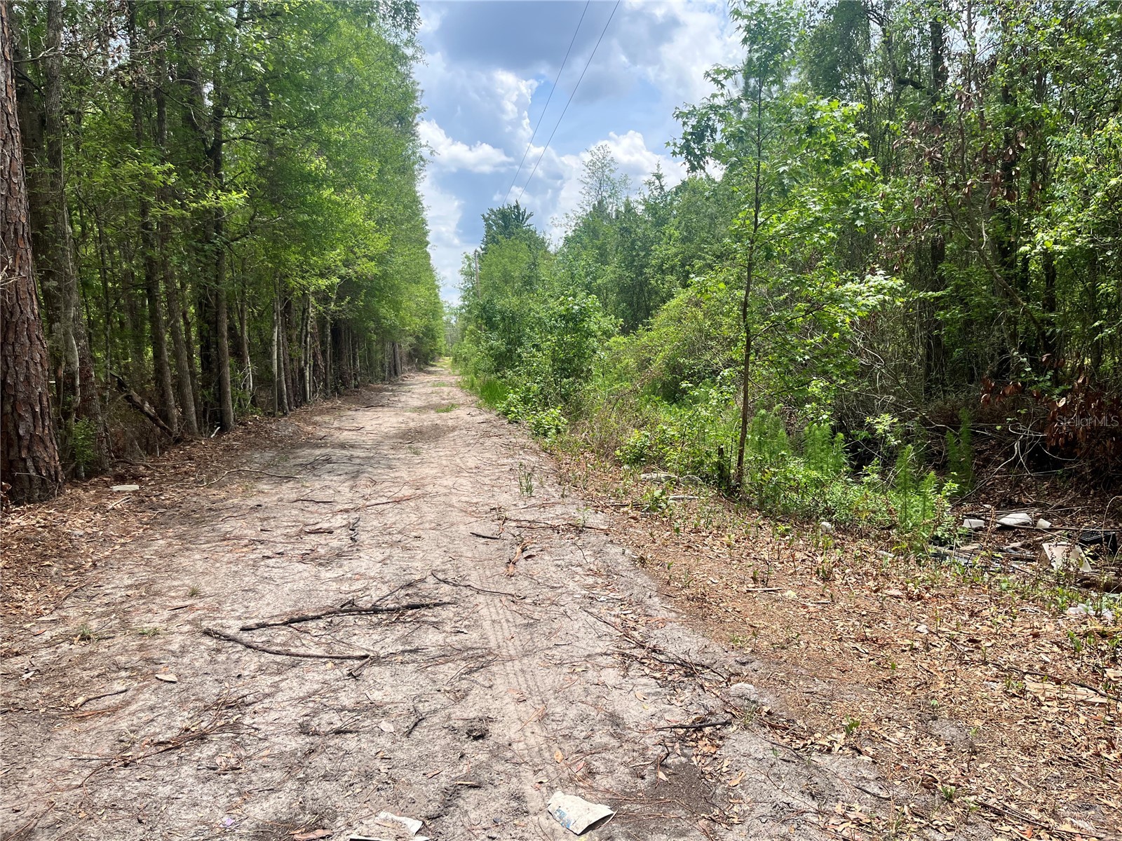 0 NW County Road 229 Starke FL 32091 GC540650 image18