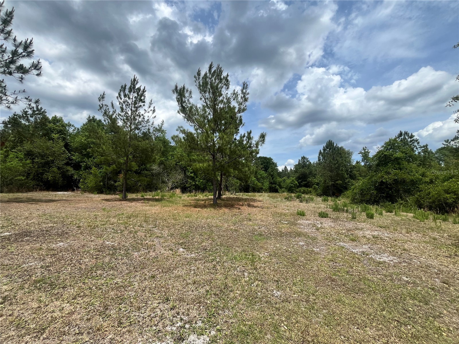 0 NW County Road 229 Starke FL 32091 GC540650 image3