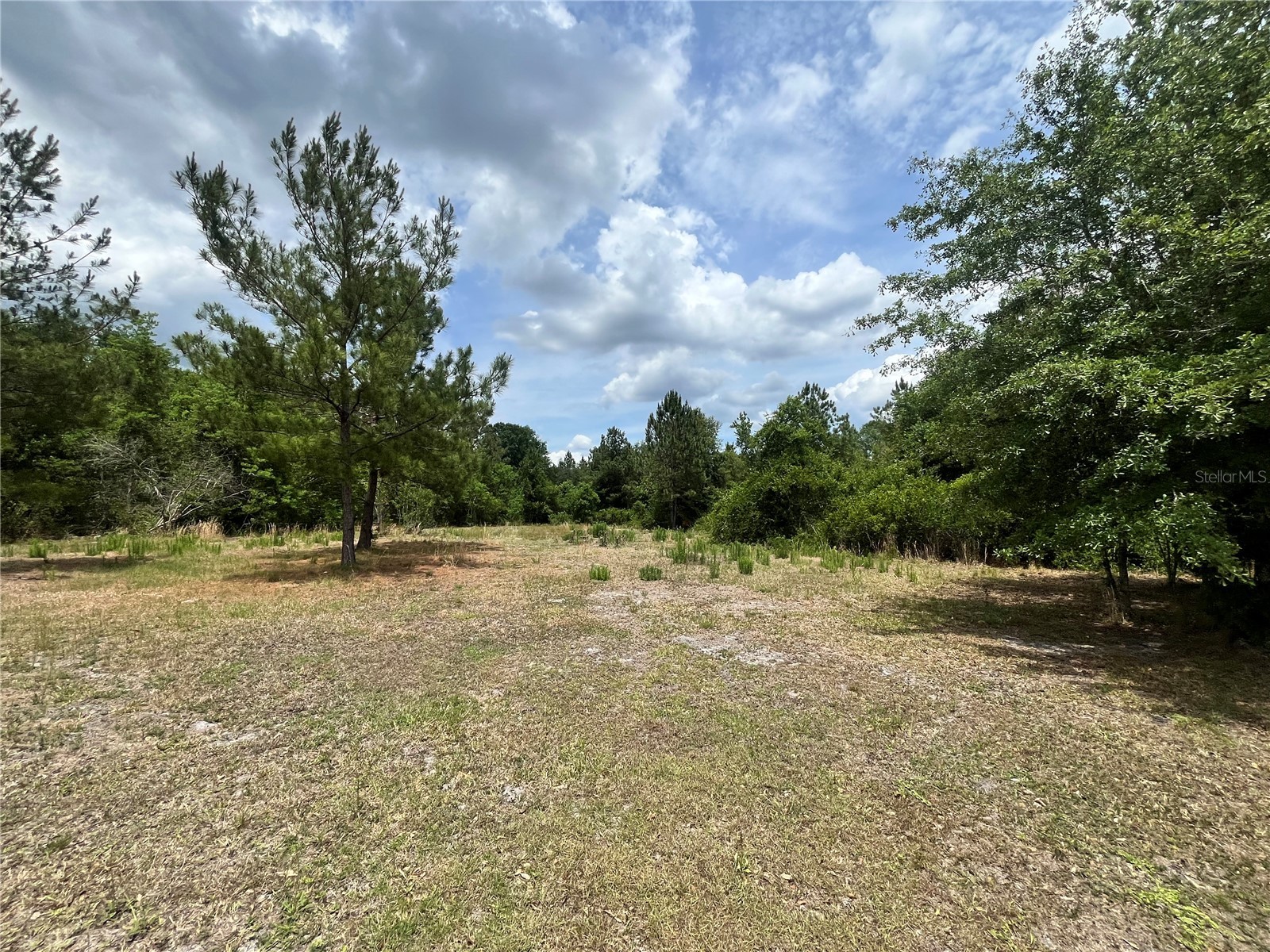 0 NW County Road 229 Starke FL 32091 GC540650 image4