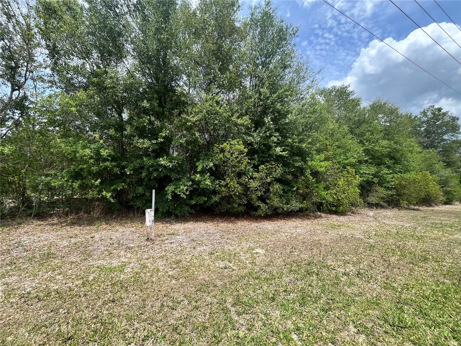 0 NW County Road 229 Starke FL 32091 GC540650 image9