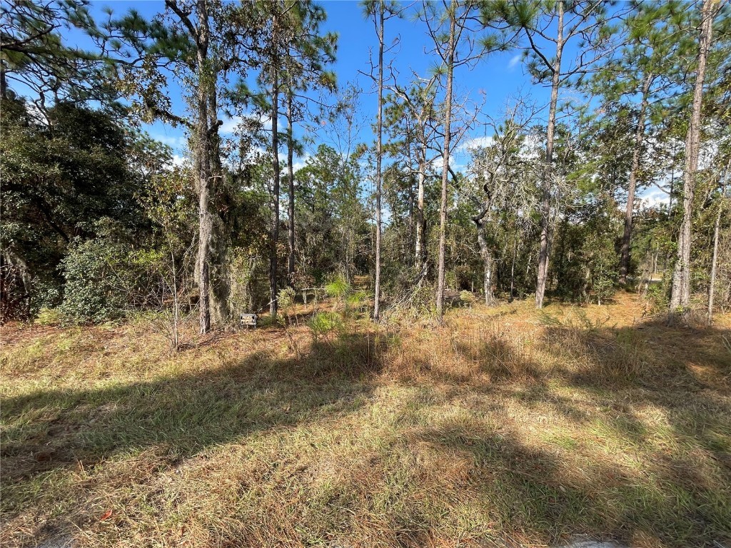 0 NW Foxglove Lane Dunnellon FL 34431 OM648390 image1