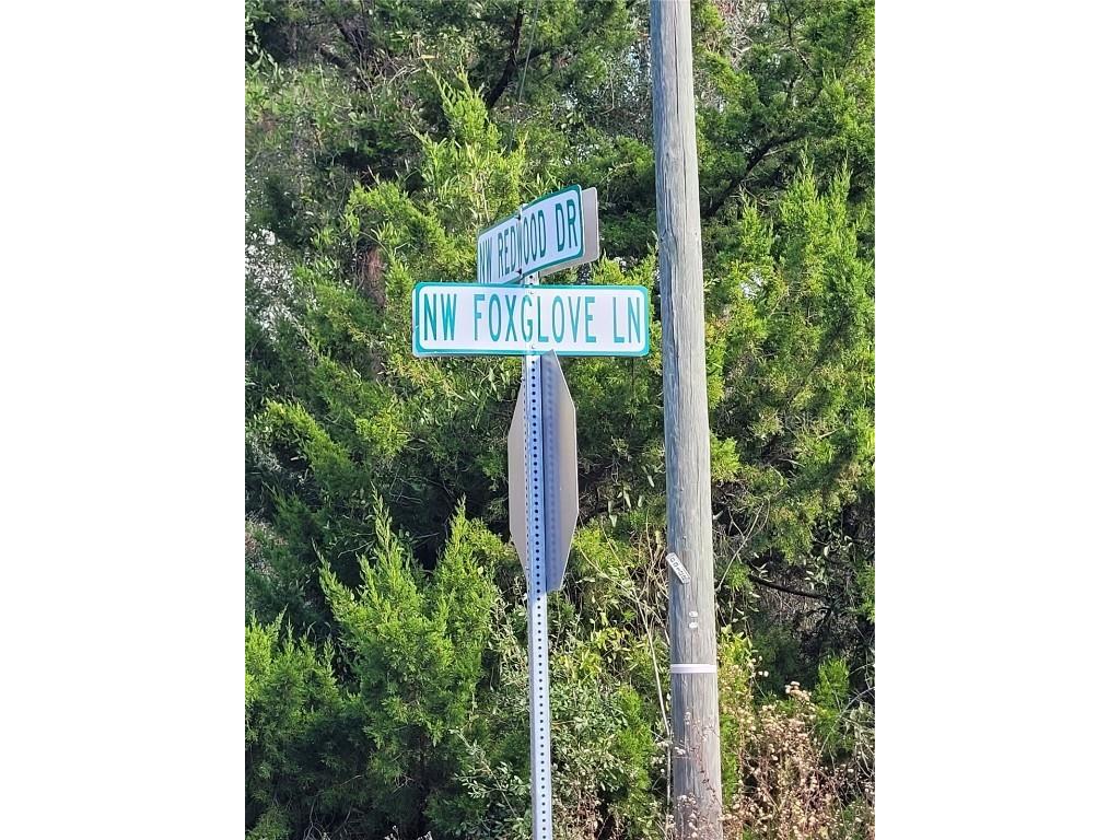 0 Nw Foxglove Lane Dunnellon FL 34431 OM714399 image9