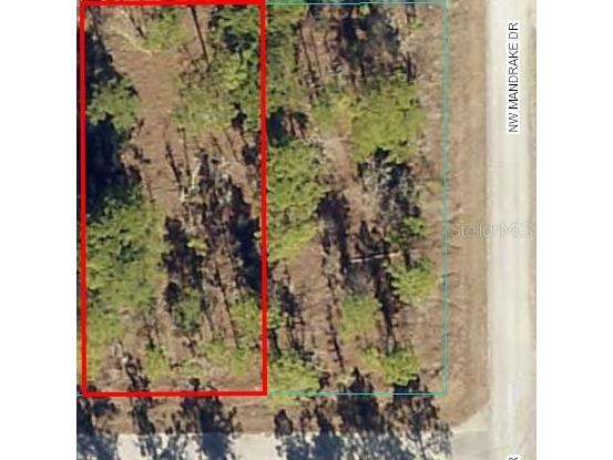 0 NW Geranium Avenue Dunnellon FL 34431 OM654783 image1