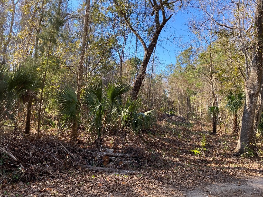 0 Nw Hwy 320 Micanopy FL 32667 OM651421 image1