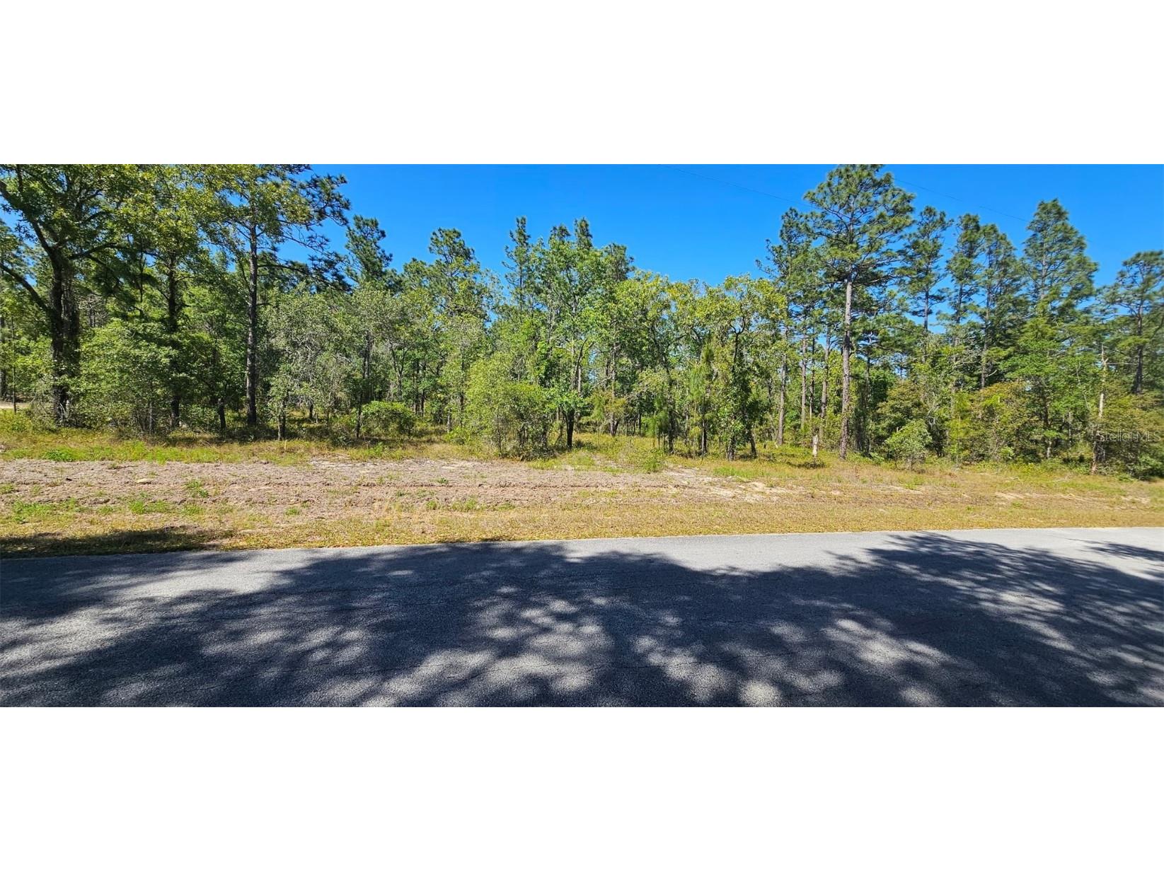 0 NW Mallard Avenue Dunnellon FL 34431 OM698509 image1