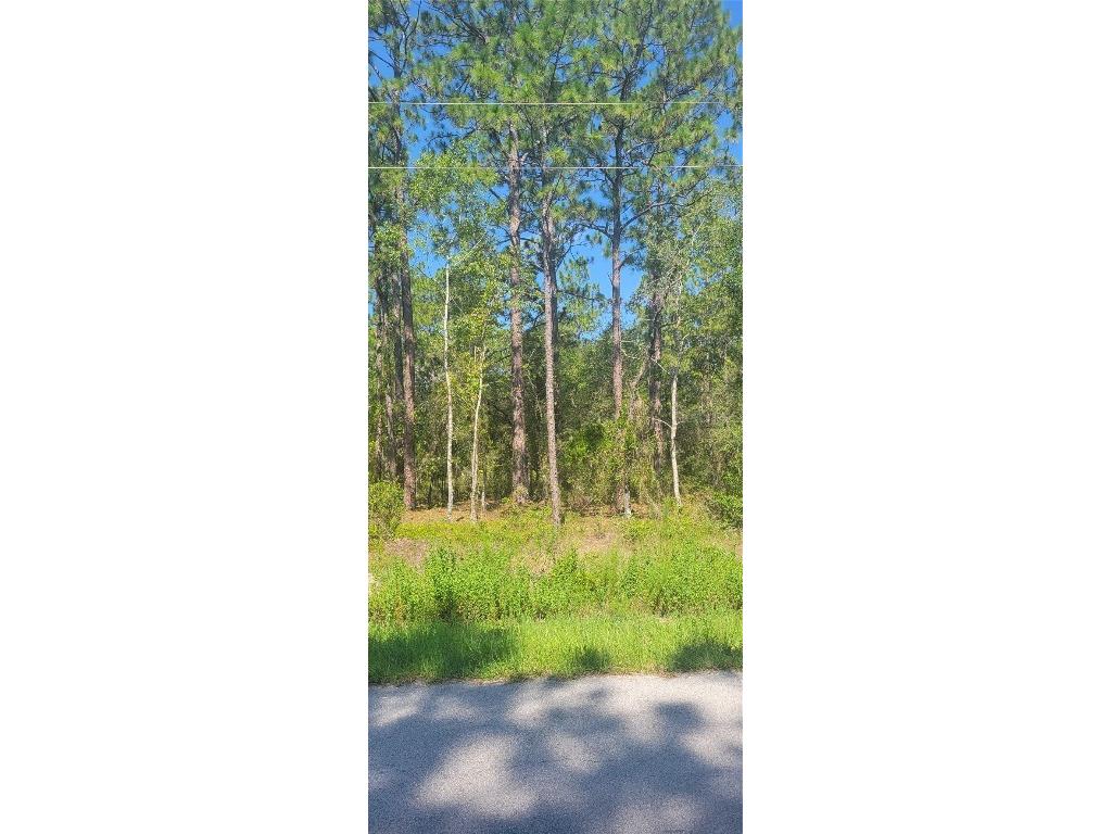 0 NW Redwood Road Dunnellon FL 34431 OM707365 image1