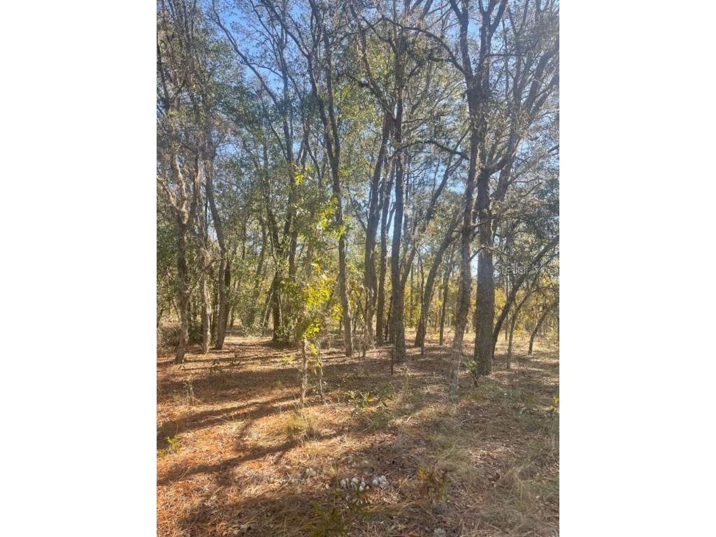 0 NW Ridgewood Rd Dunnellon FL 34431 S5107051 image1