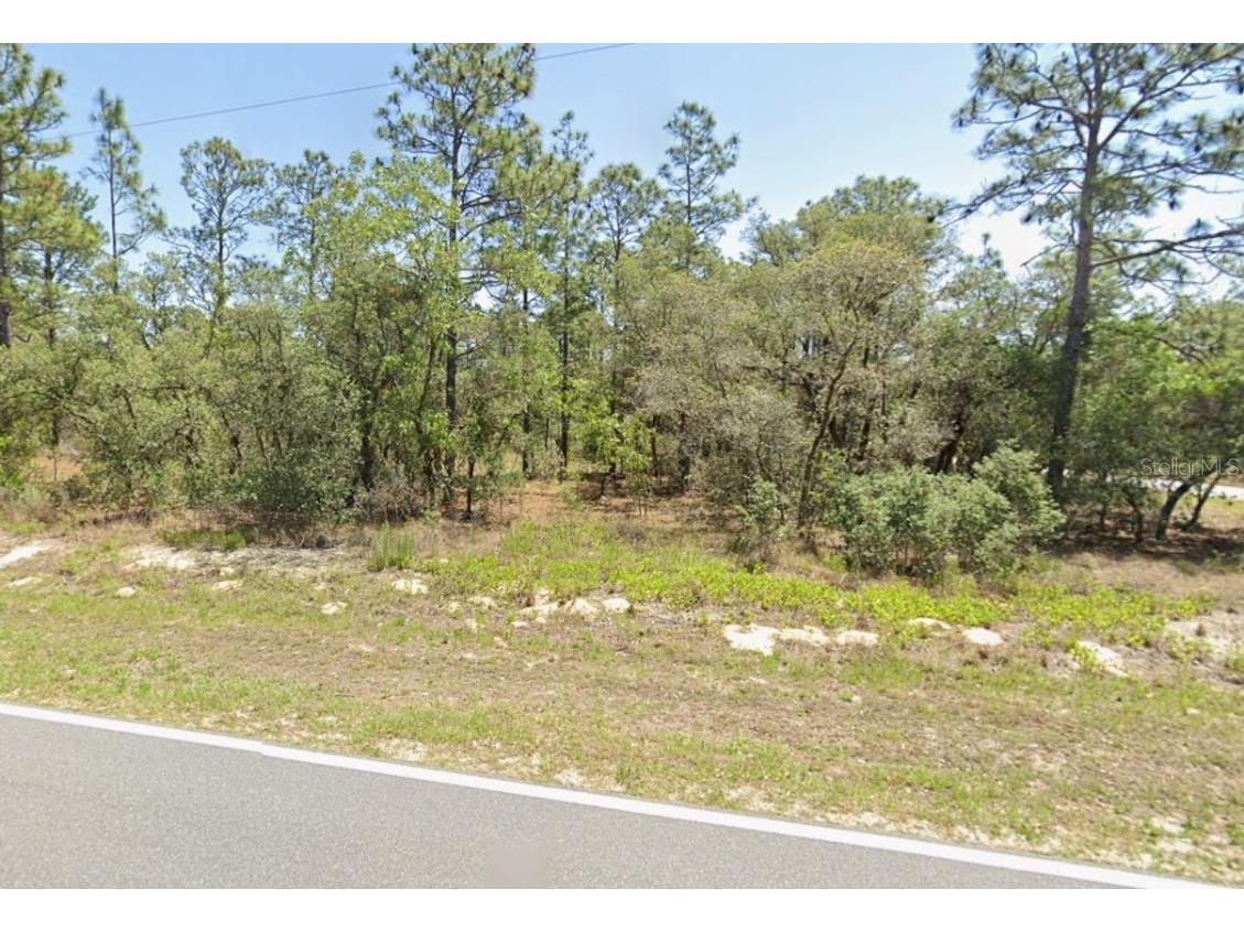 0 NW Rigewood Road Dunnellon FL 34431 G5105837 image2