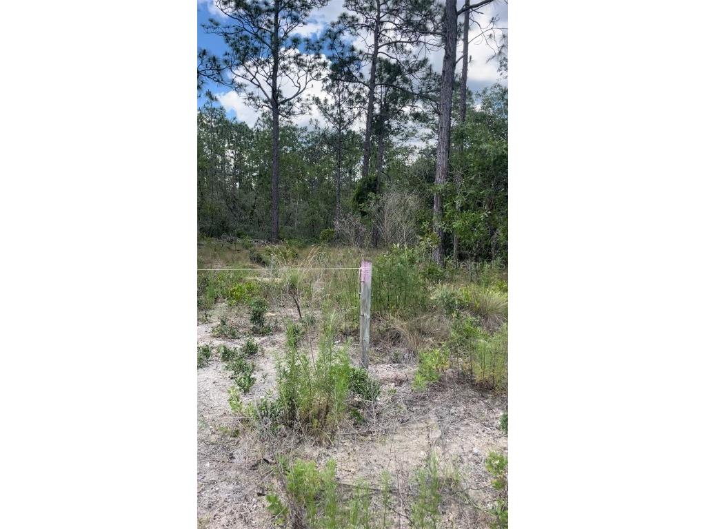 0 NW Rigewood Road Dunnellon FL 34431 G5105837 image3