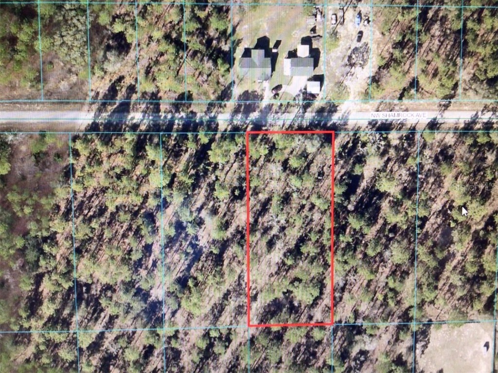 0 NW Shamrock Avenue Dunnellon FL 34431 OM678098 image1