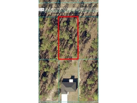 0 NW Tamarind Lane Dunnellon FL 34431 OM704550 image1