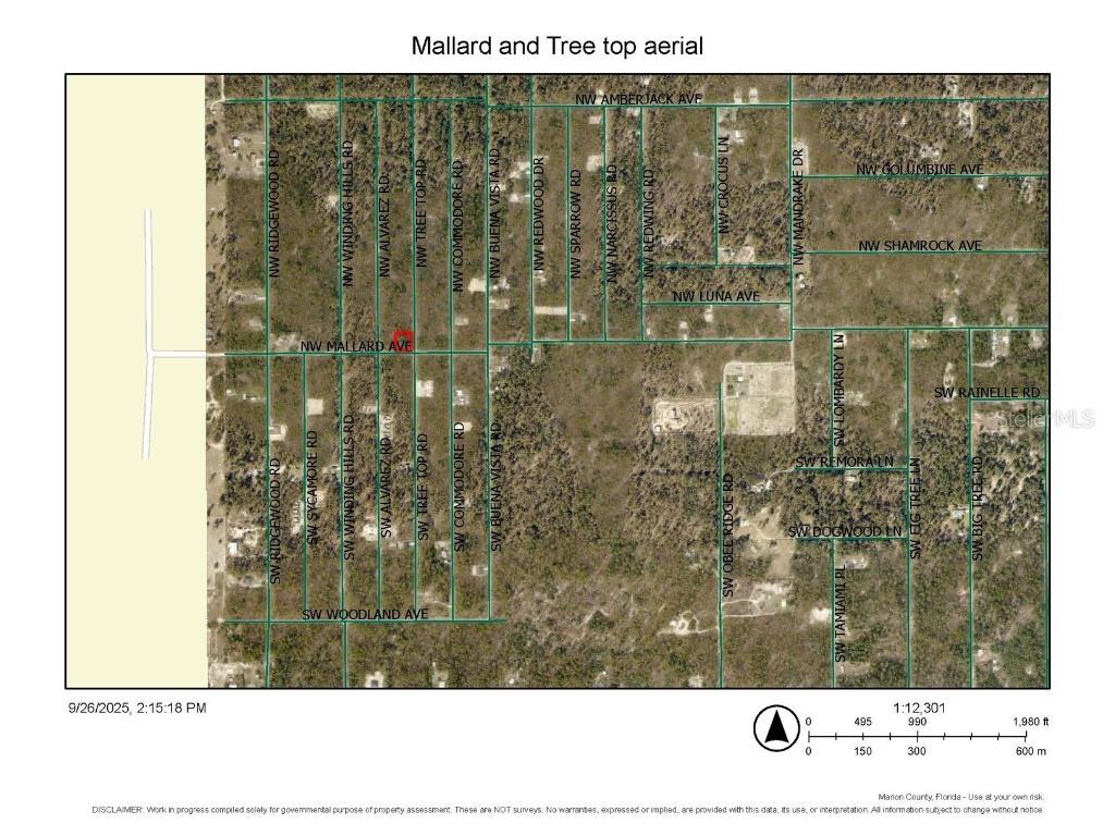0 NW Tree Top Road Dunnellon FL 34431 OM710371 image1