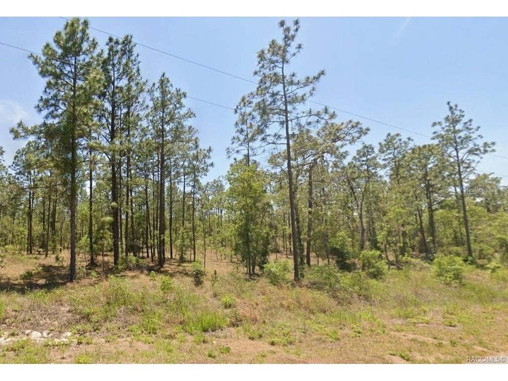 0 NW Water Oak #5 Dunnellon FL 34431 OM721082 image1