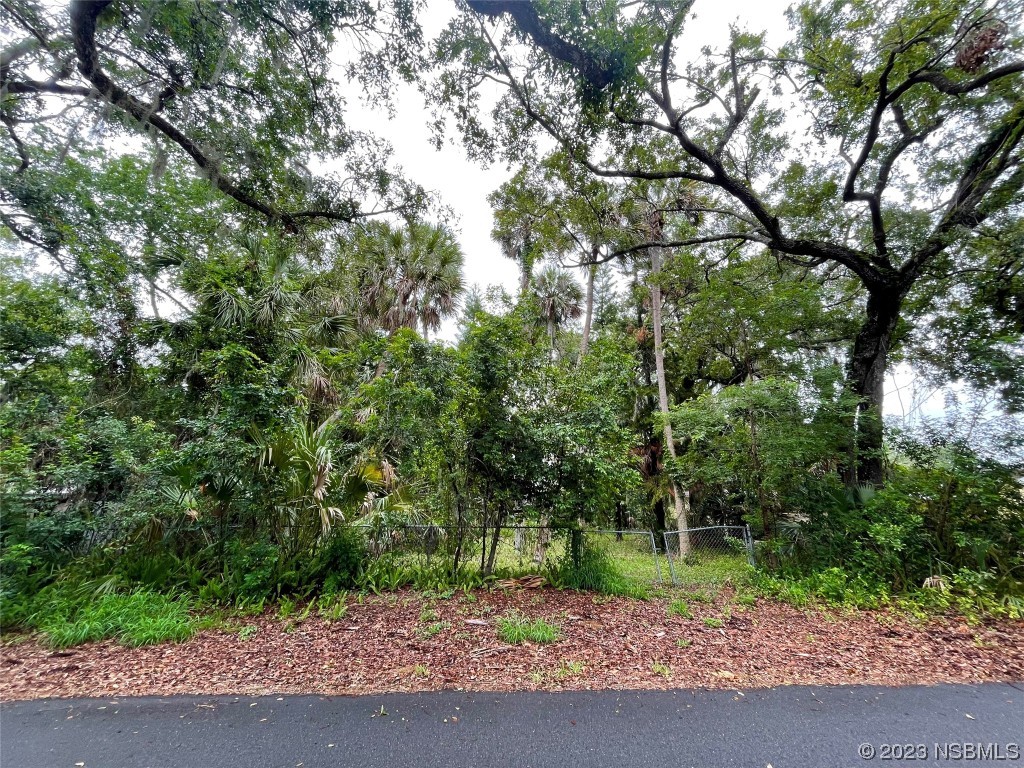 0 Neal Street New Smyrna Beach FL 32168 NS1077078 image1