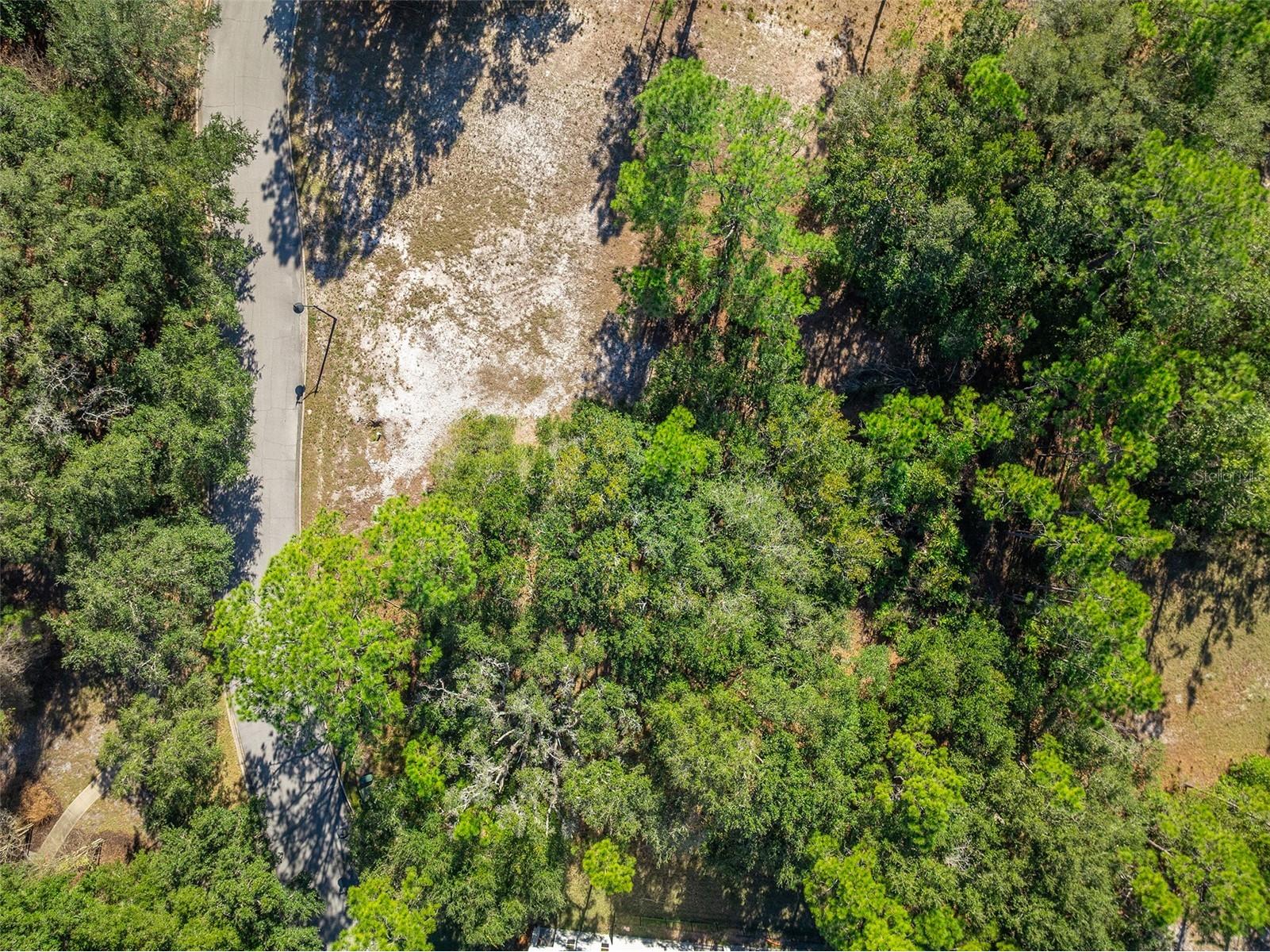 0 Oak Glen Trail #50E Saint Cloud FL 34773 - CAT LAKE & BUCK LAKE S5141518 image6