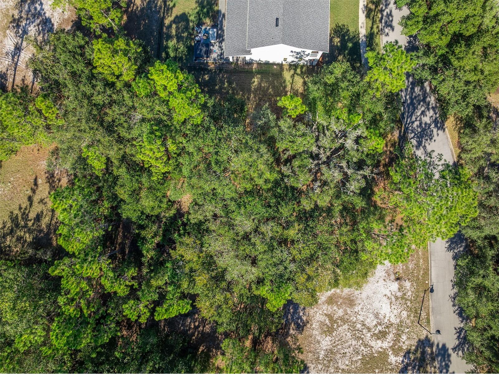 0 Oak Glen Trail #50E Saint Cloud FL 34773 - CAT LAKE & BUCK LAKE S5141518 image9