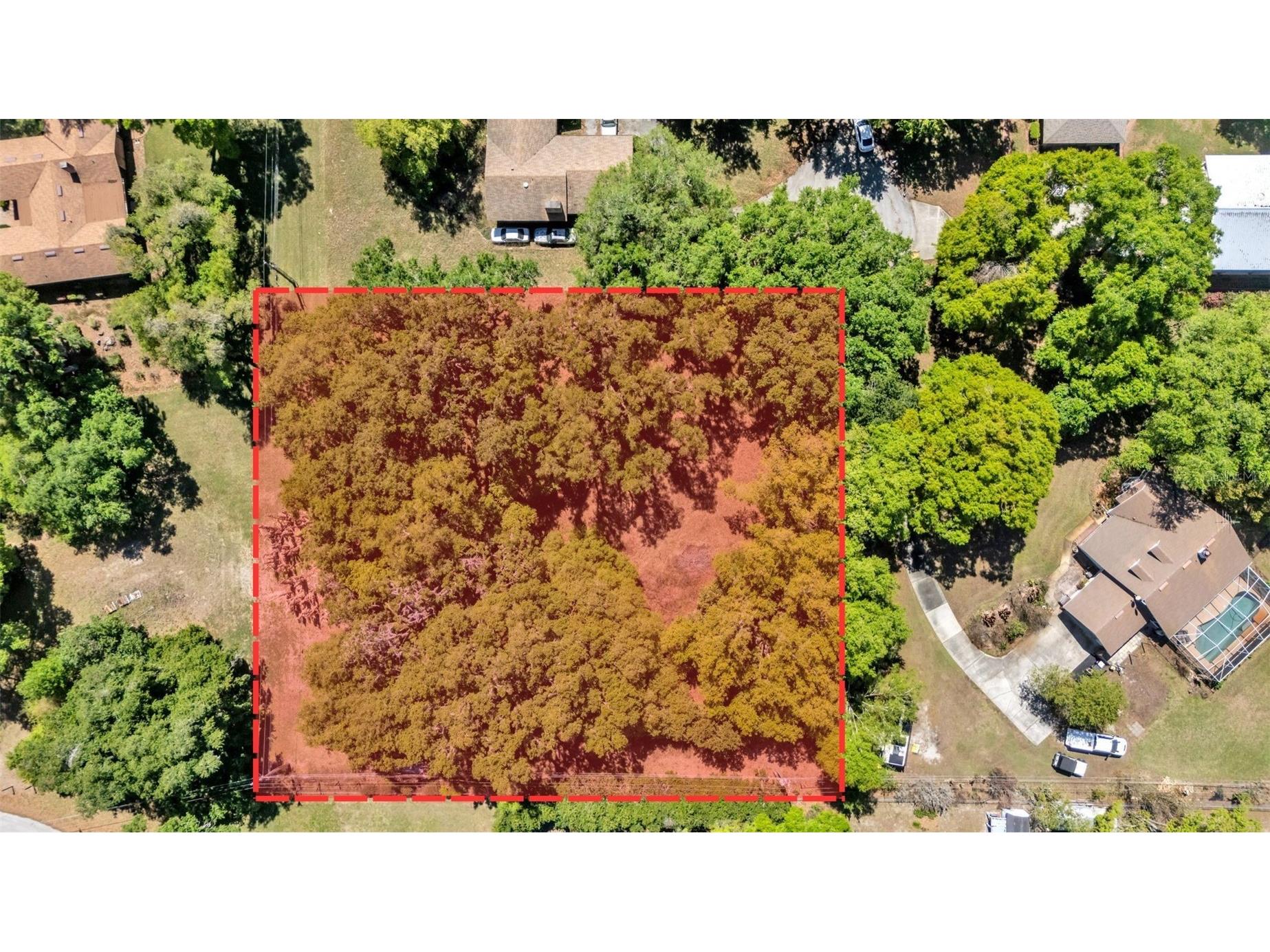 0 Oak Haven Drive Lakeland FL 33810 TB8488197 image1