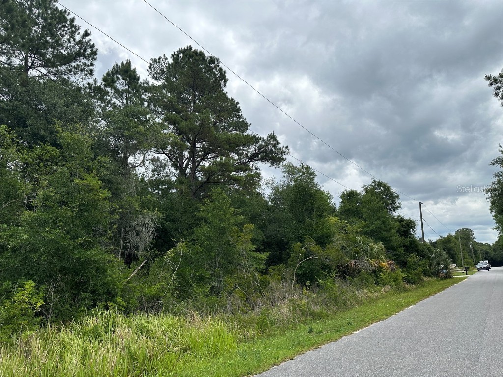 0 Oak Lane Ocala FL 34472 OM658051 image1