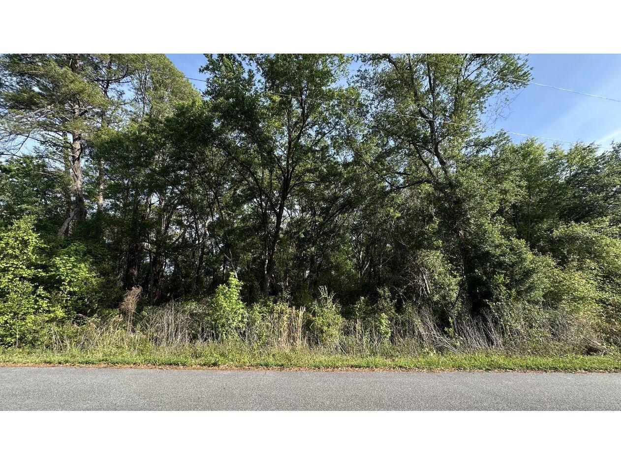 0 Oak Ln Way Ocala FL 34472 O6408040 image1