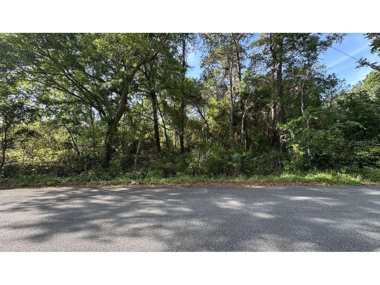 0 Oak Ln Way Ocala FL 34472 O6408040 image2
