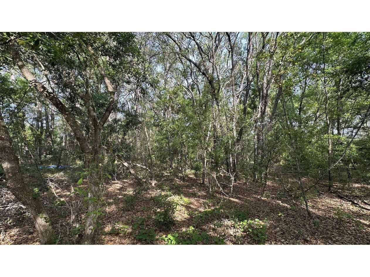 0 Oak Ln Way Ocala FL 34472 O6408040 image5